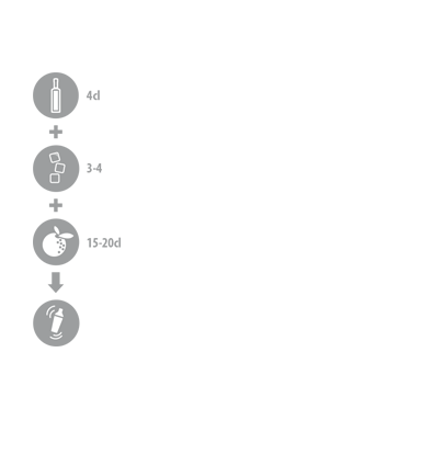 MT